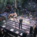 Arena Golden Fight 13 donosi 10 vrhunskih me&ccaron;eva i zajedni&ccaron;ko navijanje za Hrvatsku