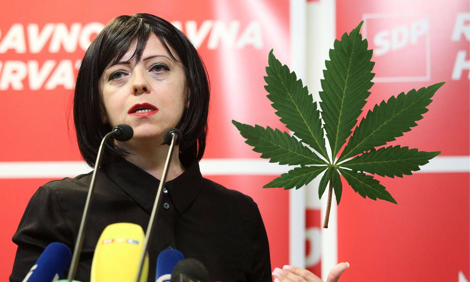 Holy želi 'lex cannabis': Devet biljaka s THC-om za svakoga?