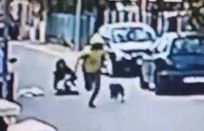 Heroj ulice: Pas lutalica ženu u Podgorici obranio od pljačkaša