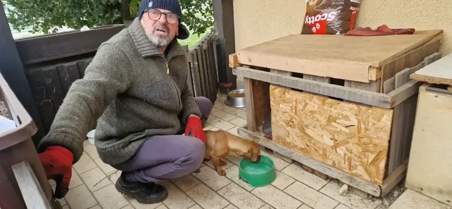 FOTO Užas kod Karlovca: Liječniku je netko otrovao šest udomljenih pasa, tri su uginula