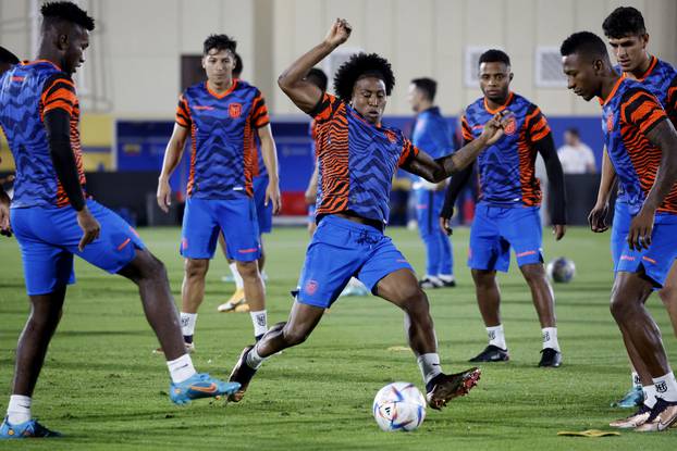 FIFA World Cup Qatar 2022 - Ecuador Training