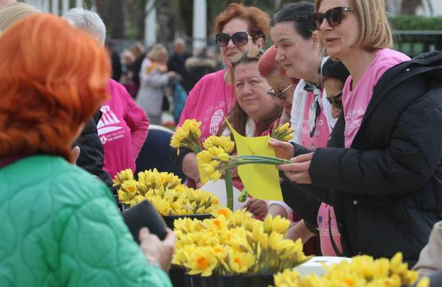 Split: Dan narcisa na rivi.