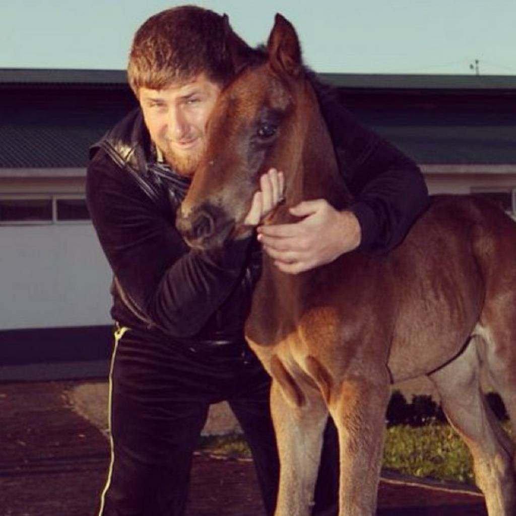 kadyrov_95/Instagram