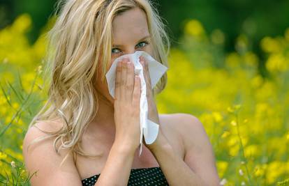 Vrijeme je sezonskih alergija - pratite peludnu prognozu