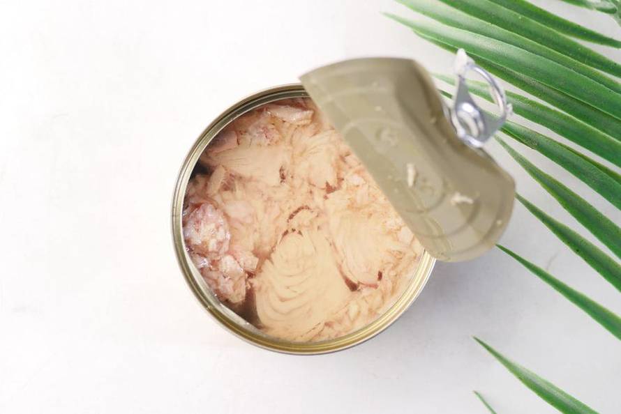 tuna u konzervi