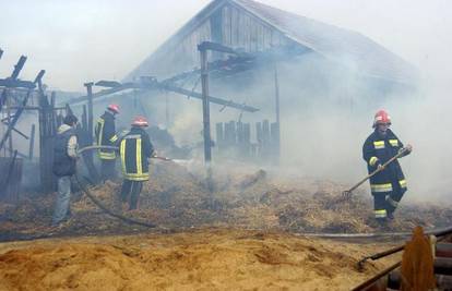U požaru staje izgorilo 19 odojaka, krmače i purani