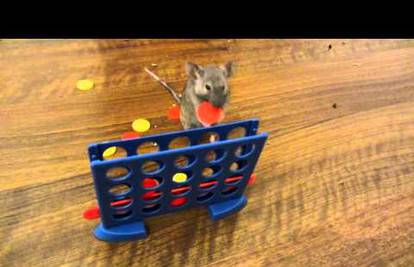 Pogledajte koje su sve sjajne trikove miševi u stanju naučiti