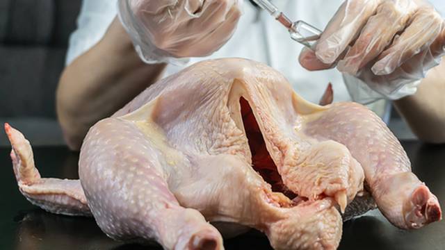 U Sloveniji otkrili salmonelu u piletini iz Hrvatske, obavijest stigla tek nakon dva tjedna