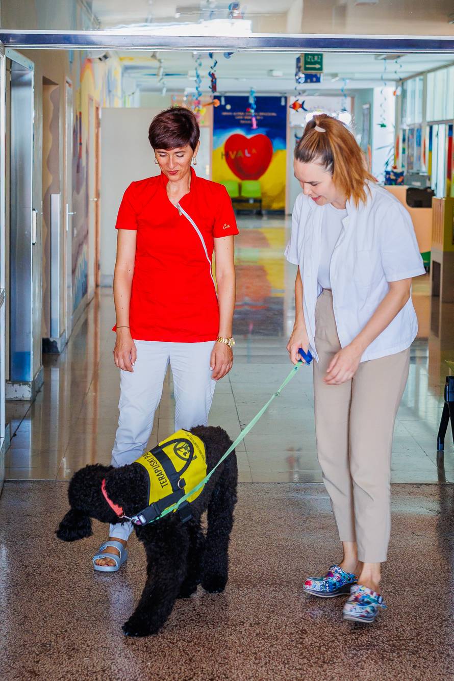 Split: Terapijski pas Dora i terapeutkinja Matea Vidak