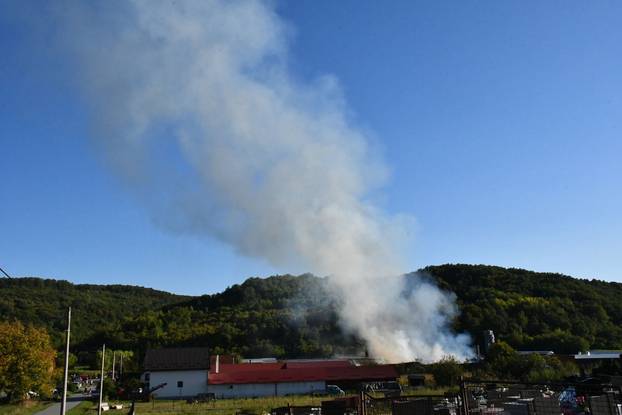 FOTO Buktinja 'progutala' halu tvornice Windor kod Pleternice