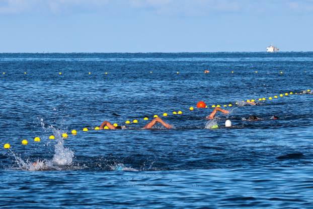 Održana plivačka manifestacija Porečki delfin