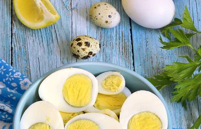 Jeste li znali da kokoš na godinu snese čak 250 jaja?