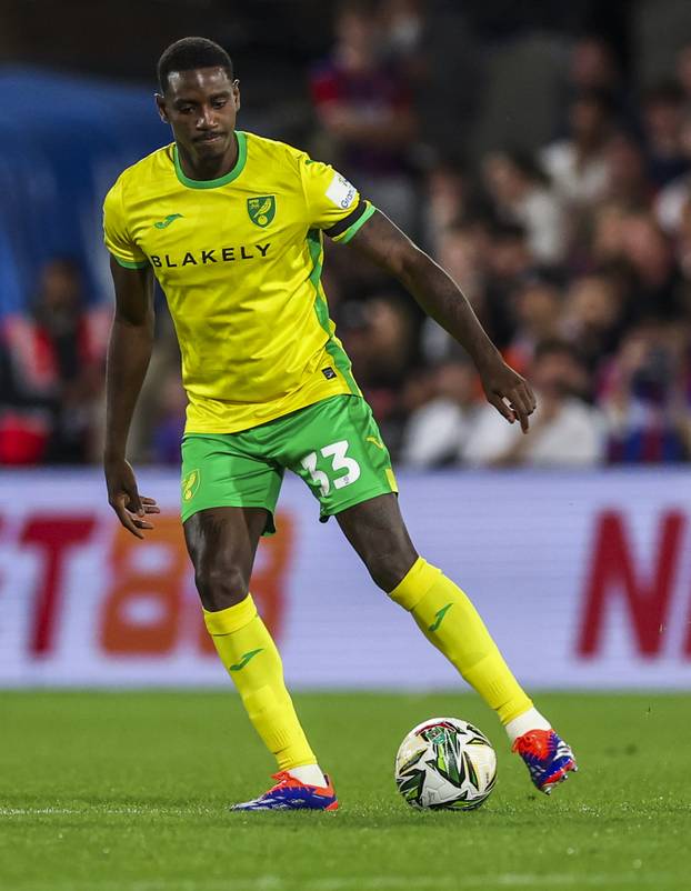 Crystal Palace v Norwich City - Carabao Cup - Second Round - Selhurst Park