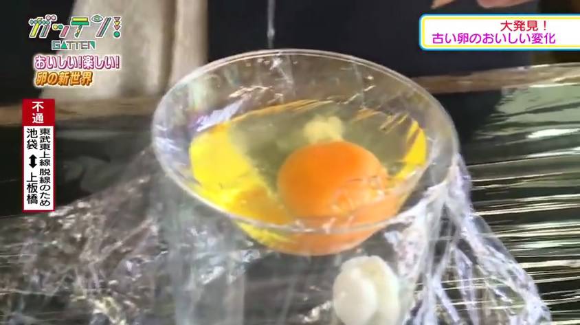 Japancima uspio eksperiment: Uzgojili pilića u plastičnoj čaši