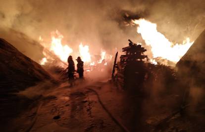 Mještani strahovali za kuće: Zapalila se pilana u Trnjanima