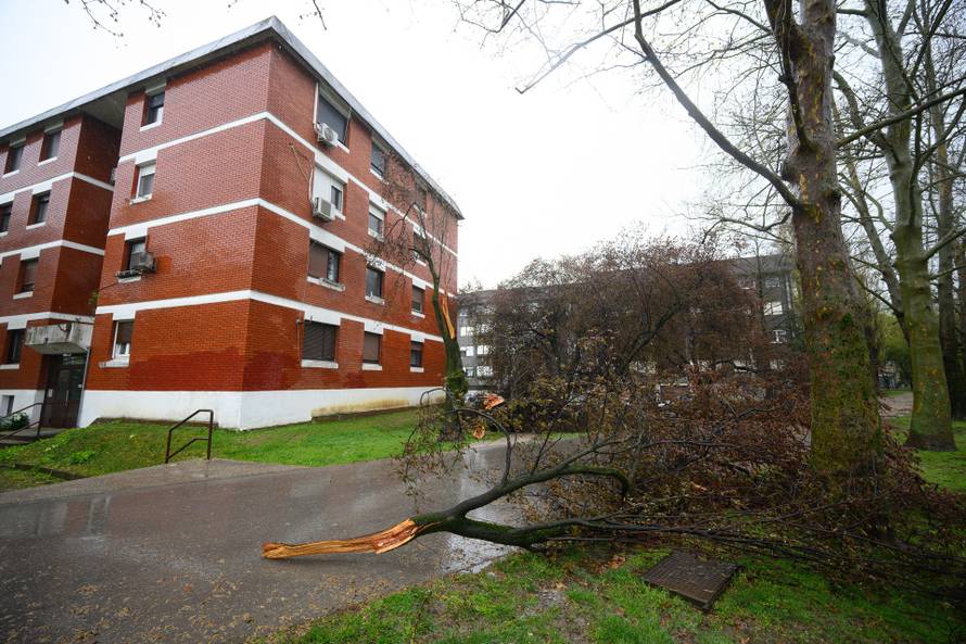 Zagreb: Jak olujni vjetar polomio stabla i grane na Jarunu