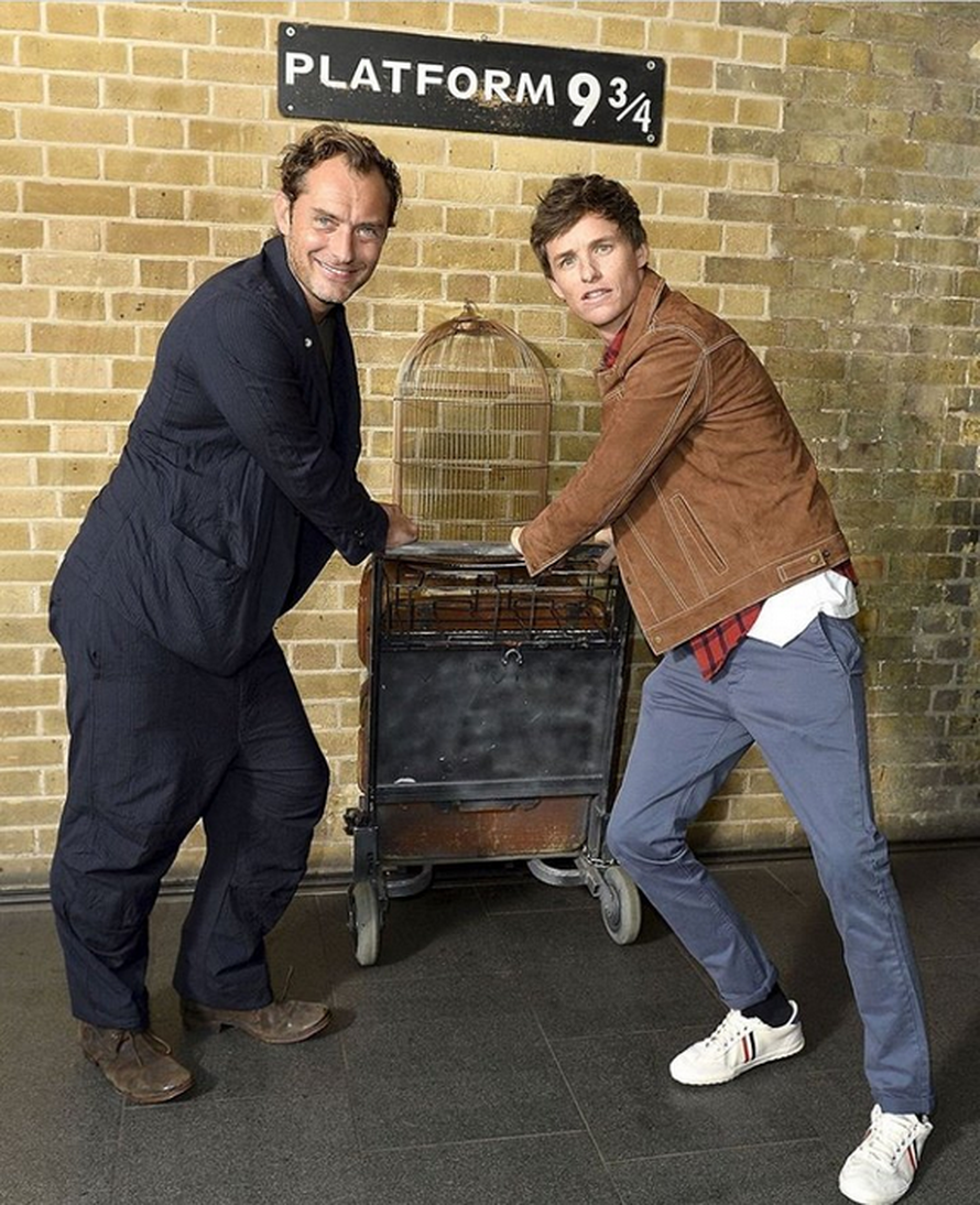 Povratak u Hogwarts: Čudesne zvijeri odlaze u najbolju školu