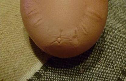 Kokoš u Treglavi snijela je jaje sa zrakama sunca