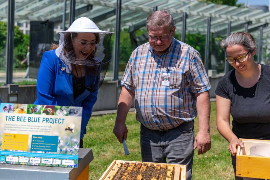 UN u Beču 'ugostio' pčele za Svjetski dan zaštite okoliša