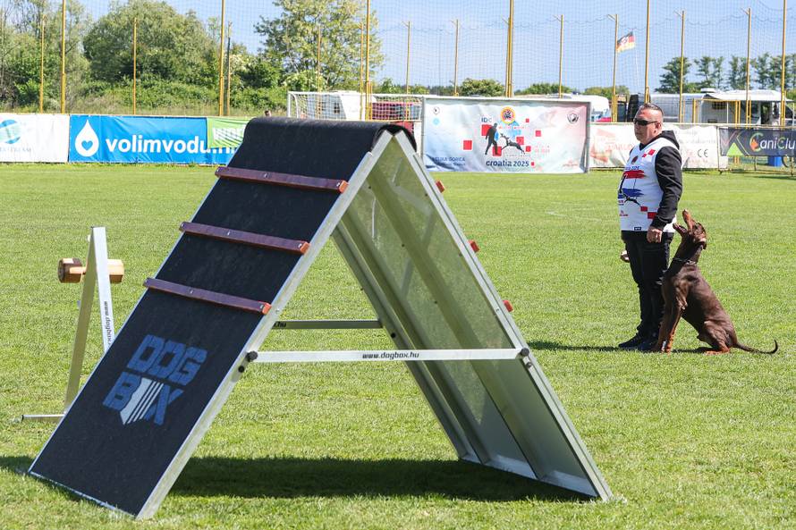 Međunarodna izložba natjecanje dobermana u Kurilovcu