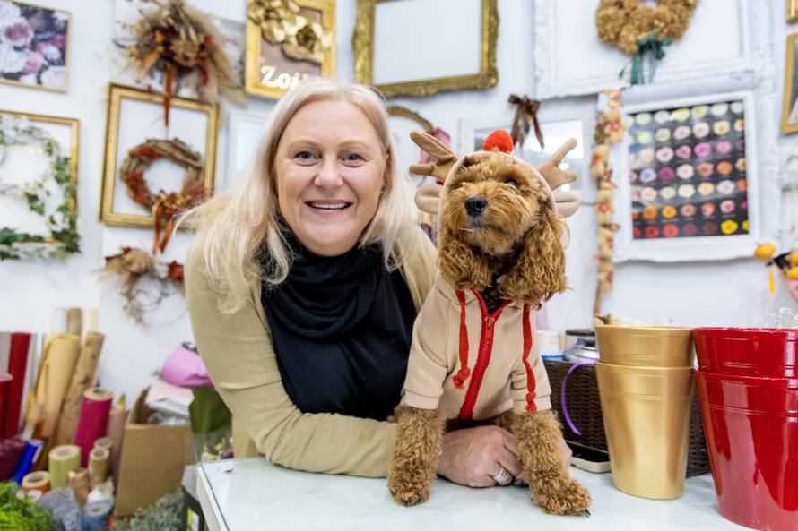 24sata: Pula: Pas pozira ispred cvjećarnice i glumi soba