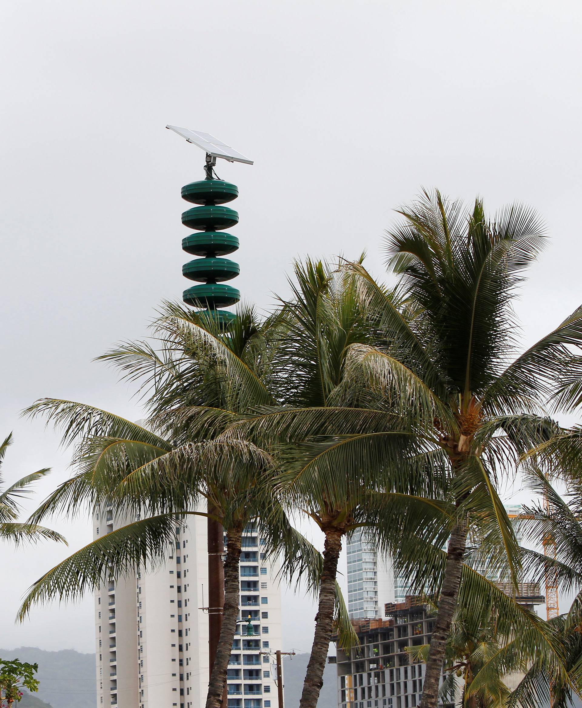 A tsunami warning tower is seen nestled in between palm trees at Kakaako Waterfront Park in Honolulu