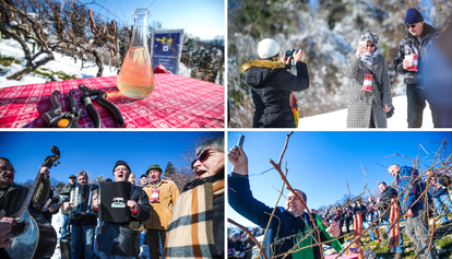 FOTO U Kašinskoj Sopnici održali ceremoniju kićenja trsa