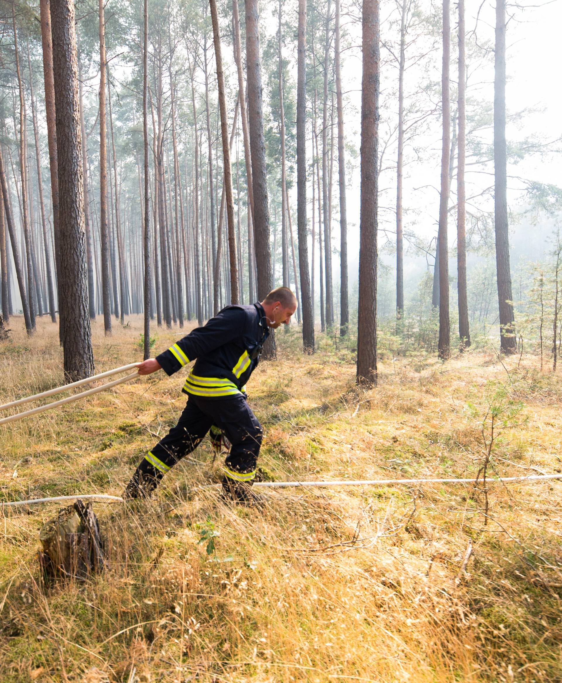 Major forest fire near Potsdam