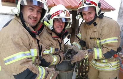 Brzi vatrogasci iz Virovitice spasili su mačića iz bunara