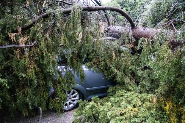Pula: Vlasnik automobila koje je potpuno uništeno nakon pada stabla u nevremenu