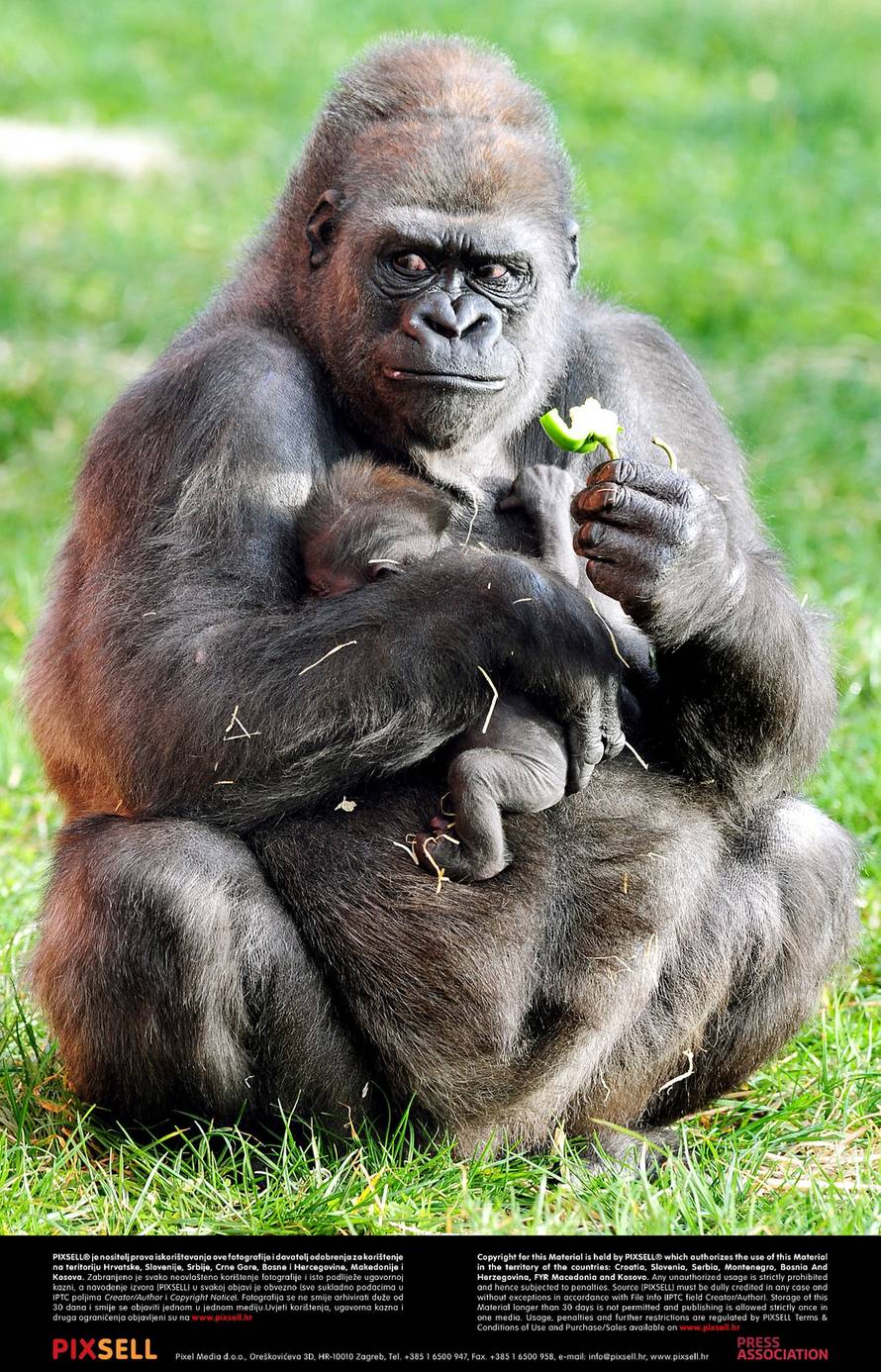 Press Association/Pixsell