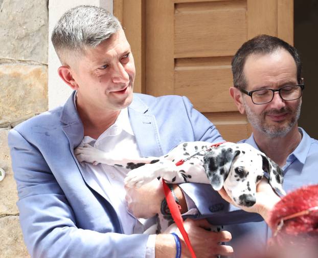 Šibenik:Otvoren muzej dalmatinskom psu,dalmatincu 