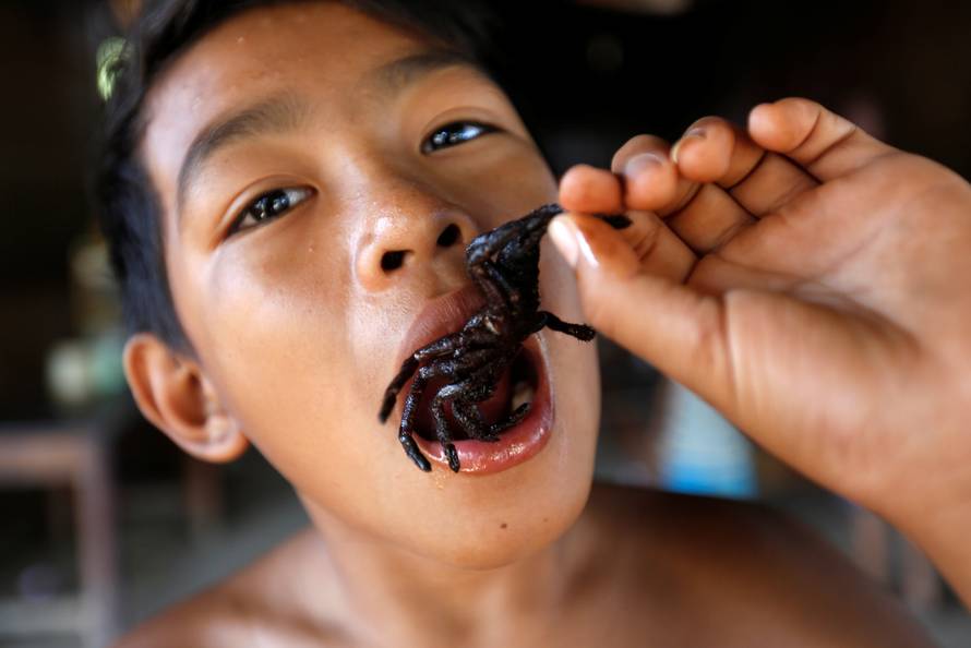 A boy eats a fried tarantula at his home in Kampong Cham province in Cambodia
