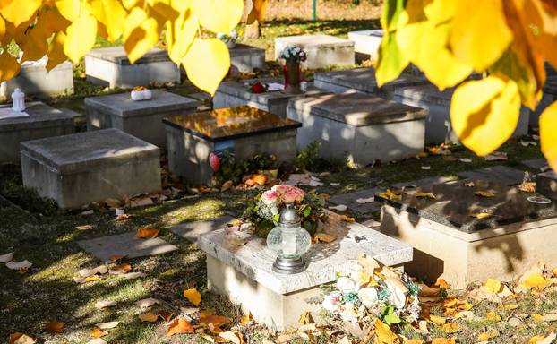 Zagreb: Groblje kućnih ljubimaca u Dumovcu obišao je jedino jedan mačak