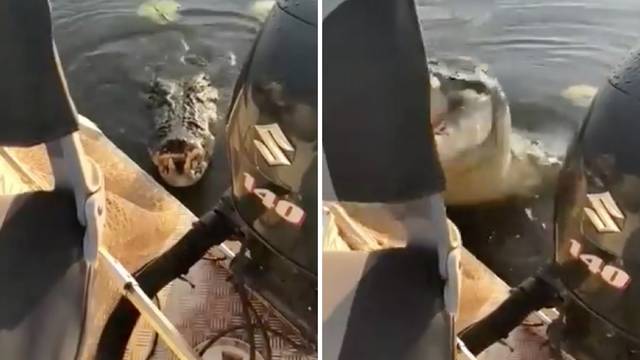 Pazi krokodil! Skočio iz vode na čamac u kojem su bili ribari
