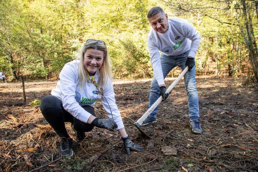Dukat nastavlja s najvećim pojedinačnim korporativnim projektom pošumljavanja