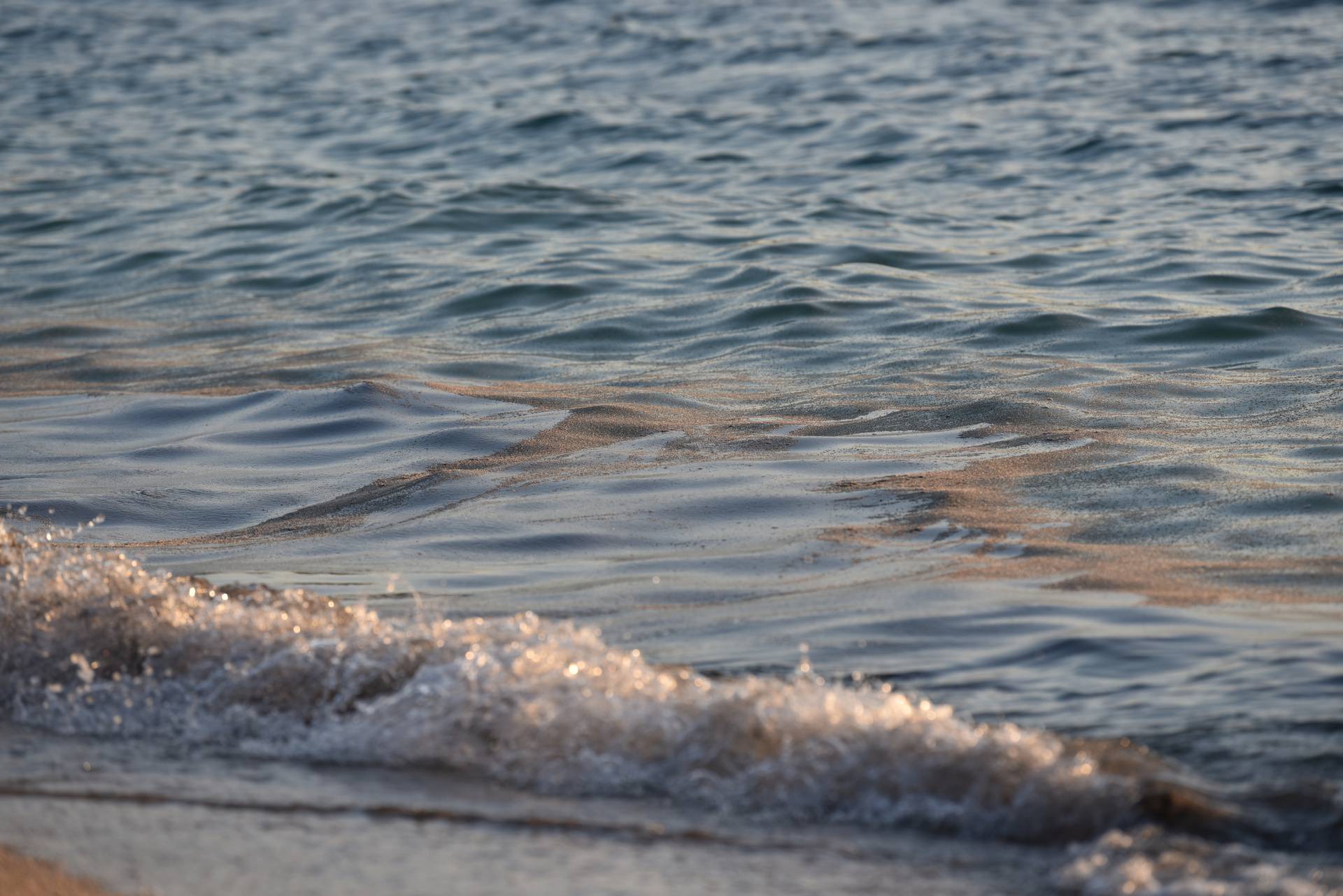 Mušice preplavile more na plaži Donja Luka u Makarskoj