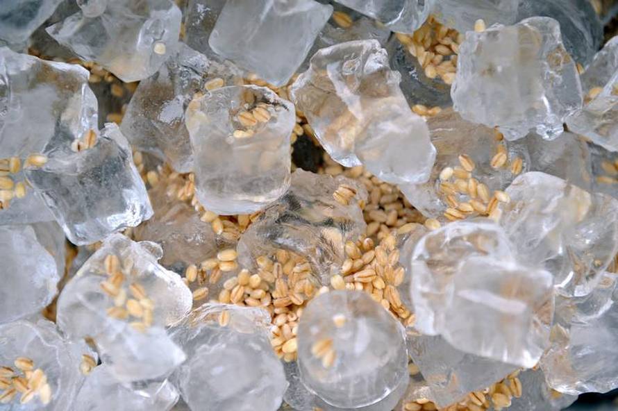 Goran Stanzl/PIXSELL