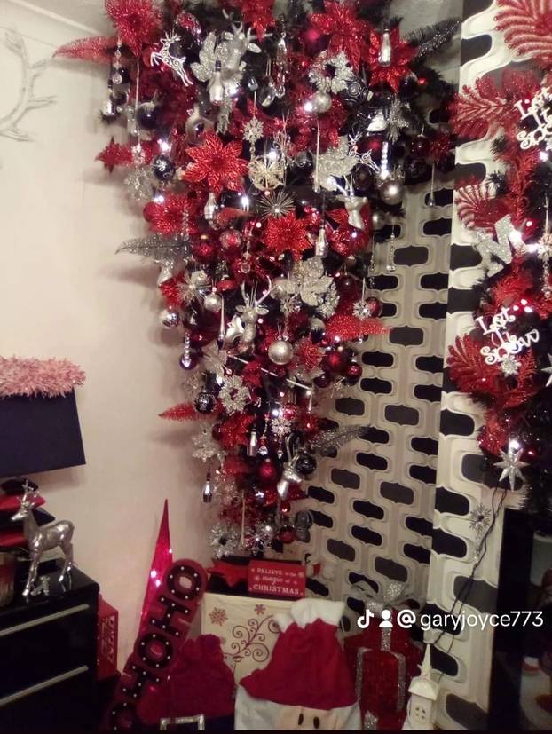 FOTO Ovakve borove još niste vidjeli! Okrenuti naopako, neki su haljine, a neki čak i mačke!