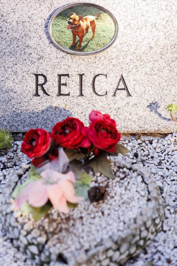 Rijeka: Groblje kućnih ljubimaca na blagdan Svih svetih