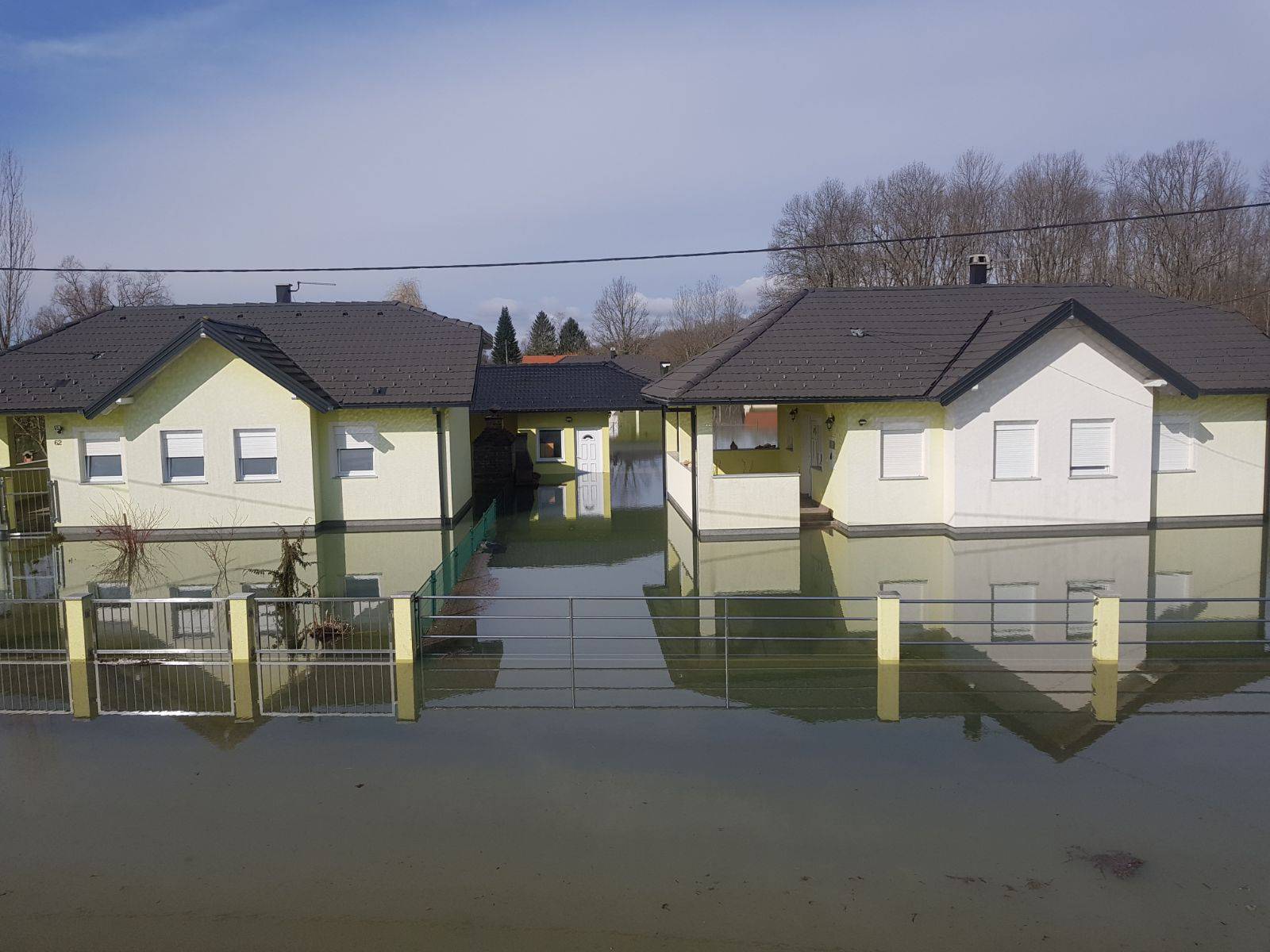 Vodeni svijet: Šarani i štuke im doplivali u dvorište u Pisarovini