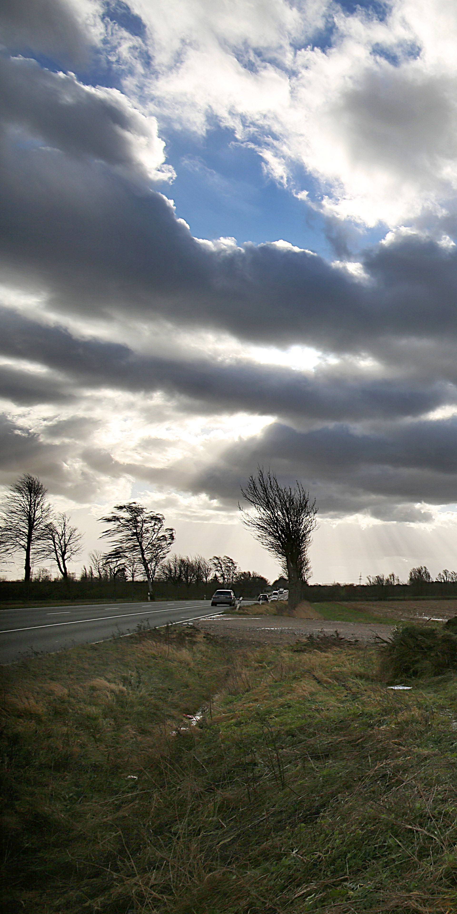 Storm "Friederike" descends on Germany