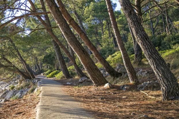 Znate li koji je hrvatski otok vitalnosti? Stranci se na njega dolaze liječiti već 100 godina