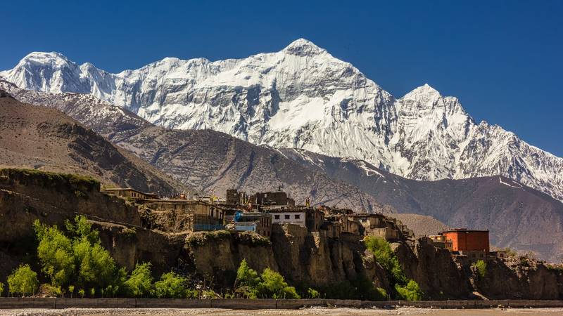 Shilajit probuđuje bolje od kave - što kaže znanost o ovom himalajskom čudu?