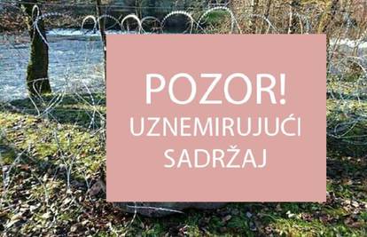 Žrtve slovenske žice: 'Maknite oštre žilete i spasite životinje'