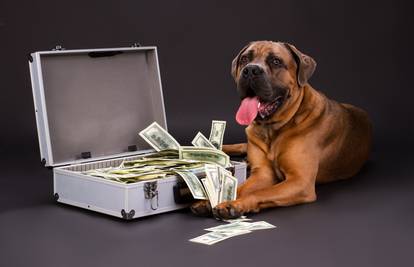 Traže veću pričuvu za vlasnike pasa: Oni plaćaju ljubavlju...