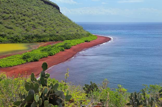 View of red beach and lagoon of Rabida Island in Galapagos Natio