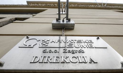 Detalji prijave zbog koje USKOK istražuje Hrvatske šume: Nisu prodali stabla srušena u oluji