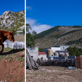 Muze milijunske poticaje i za to vrijeme gradi bespravne zgrade usred Parka prirode Velebit