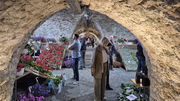 FOTO Cvjetni spektakl u Slavonskom Brodu: Florafest okupio više od 50 izlagača